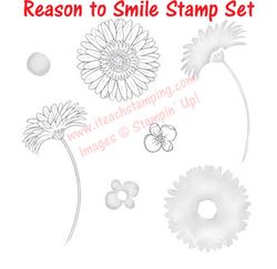 Reason to Smile copy