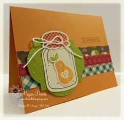 Perfectly Preserved, Stampin' Up!, Holiday Catalog